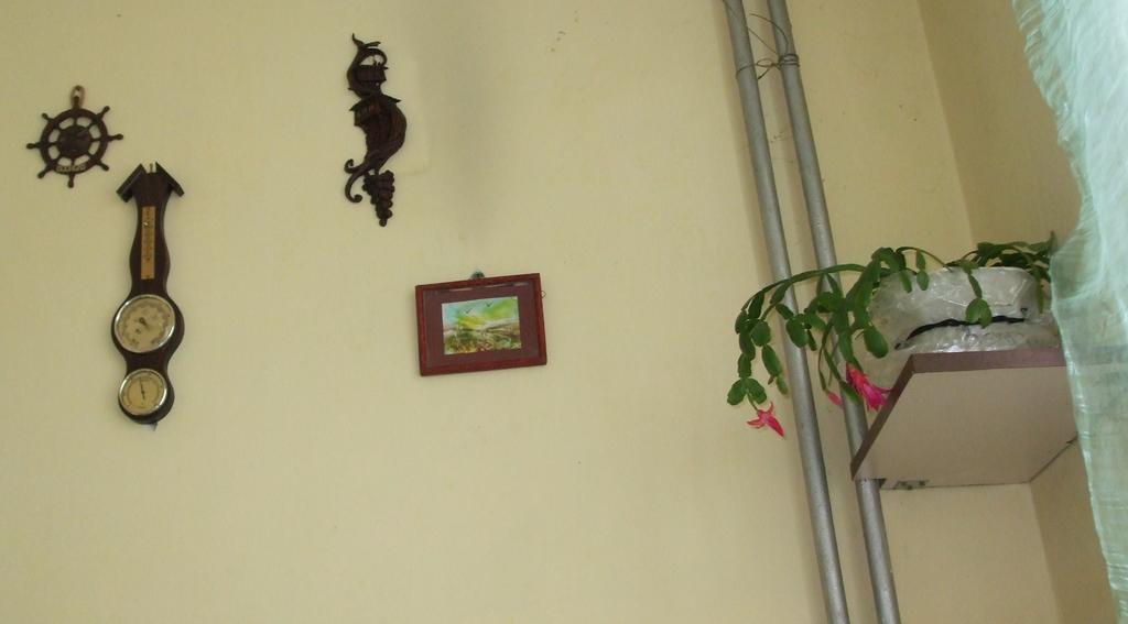 Kamigs Rooms โซเฟีย ห้อง รูปภาพ